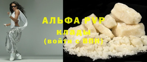 индика Нефтекумск