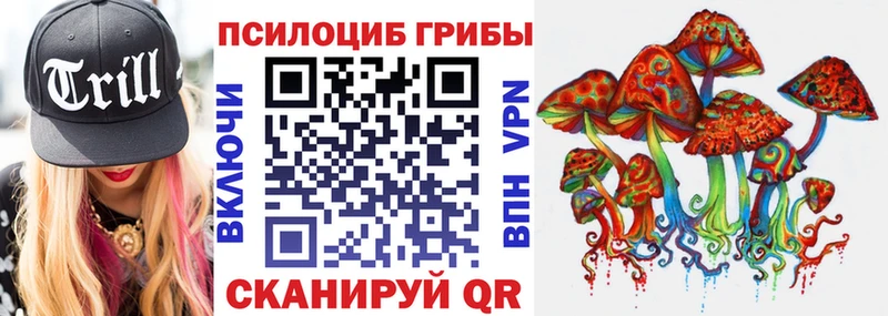 Псилоцибиновые грибы Psilocybe  Порхов 